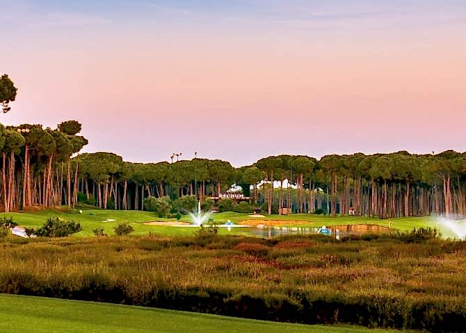 About Caryagolf M Min