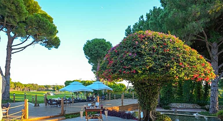 Regnumcarya Carya Golf Club 50